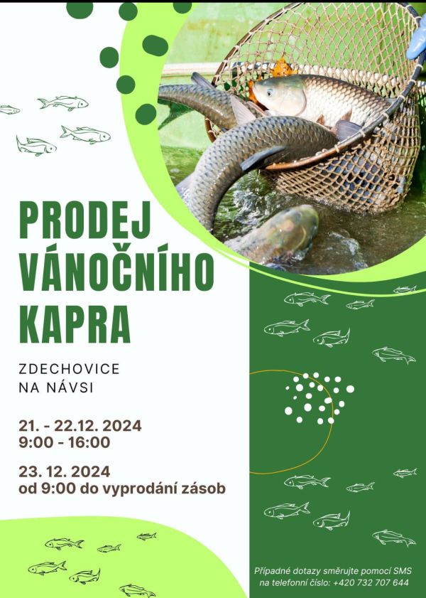 prodej kaprů náves