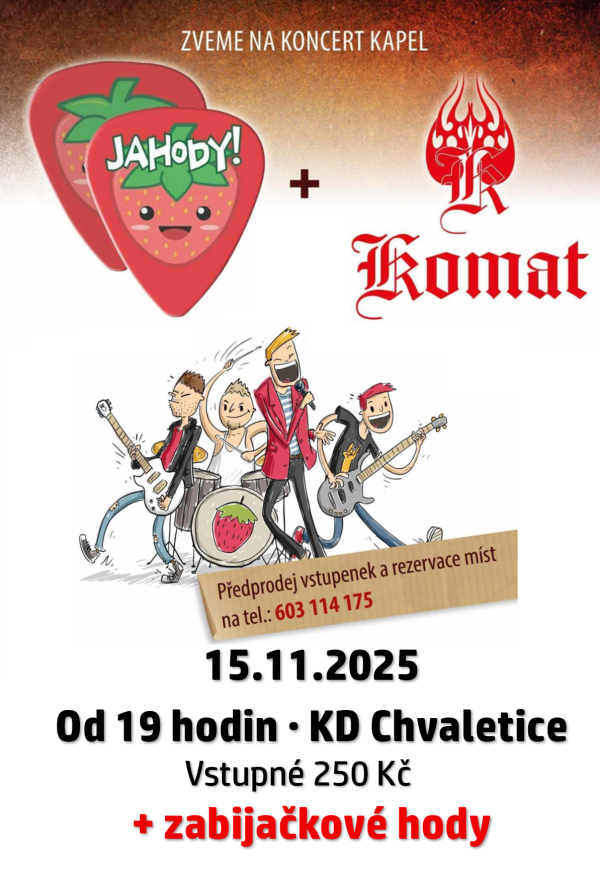 Chvaletice jahody 2025 (002)