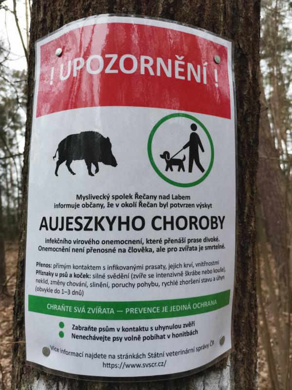 Aujezskyho choroba