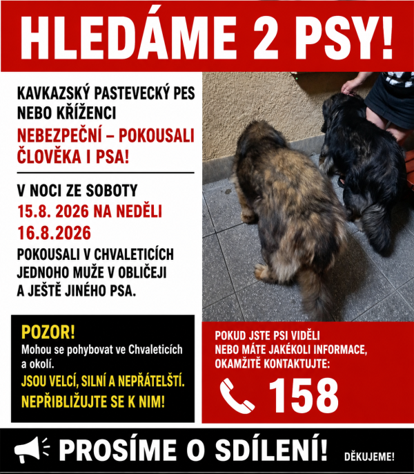 Psi Chvaletice