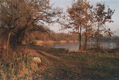 Rybník Černý