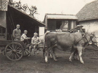 František a Josef Chuticovi
