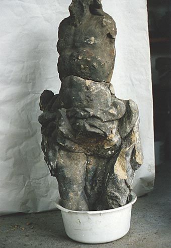 Torso sochy