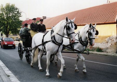 Kočár s trubači