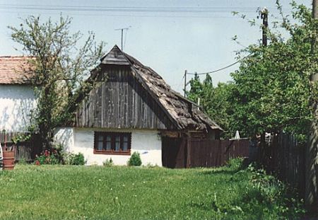 Pazderna
